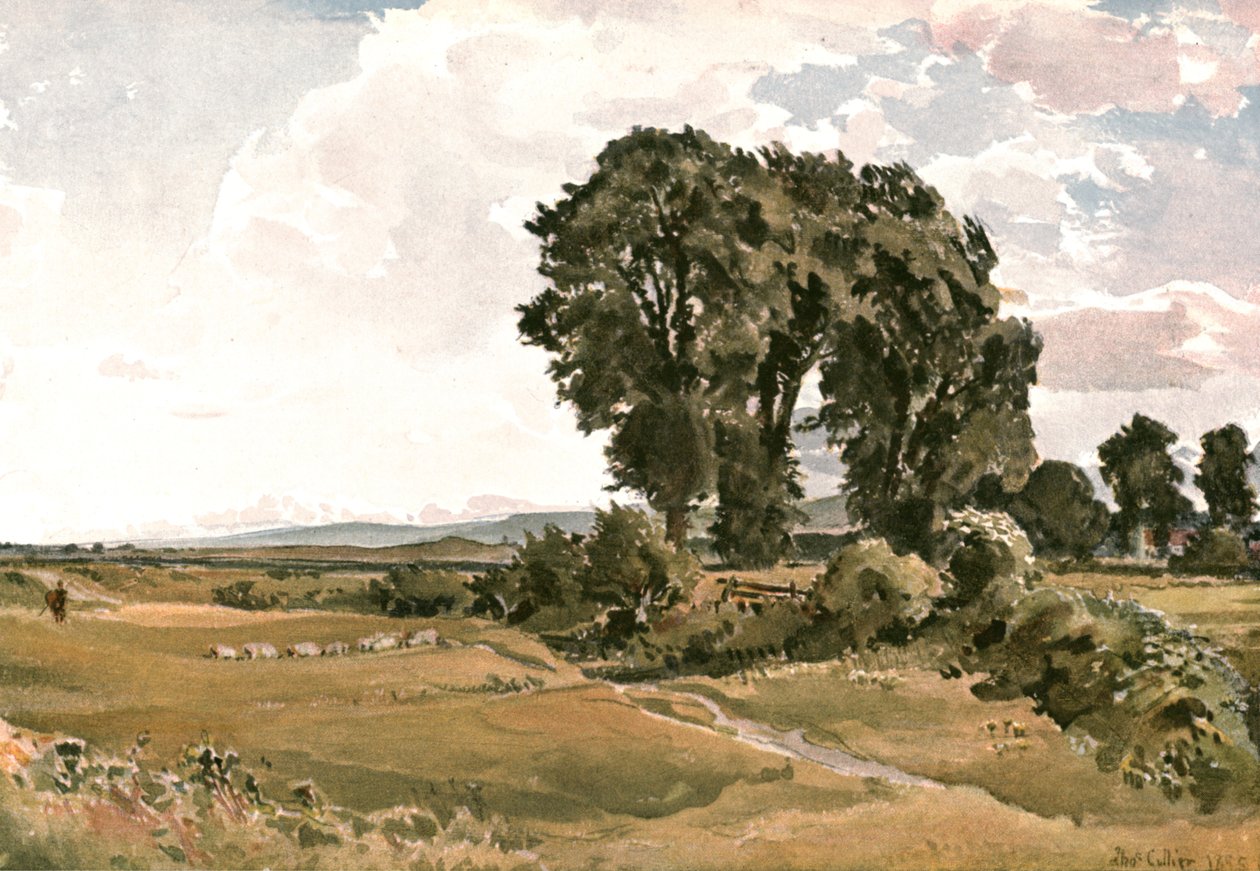 Paesaggio, vicino a Wareham, Dorset - uno schizzo all