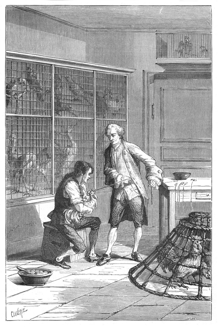 Lazzaro Spallanzani, naturalista e biologo italiano del XVIII secolo, 1874 da Unbekannt