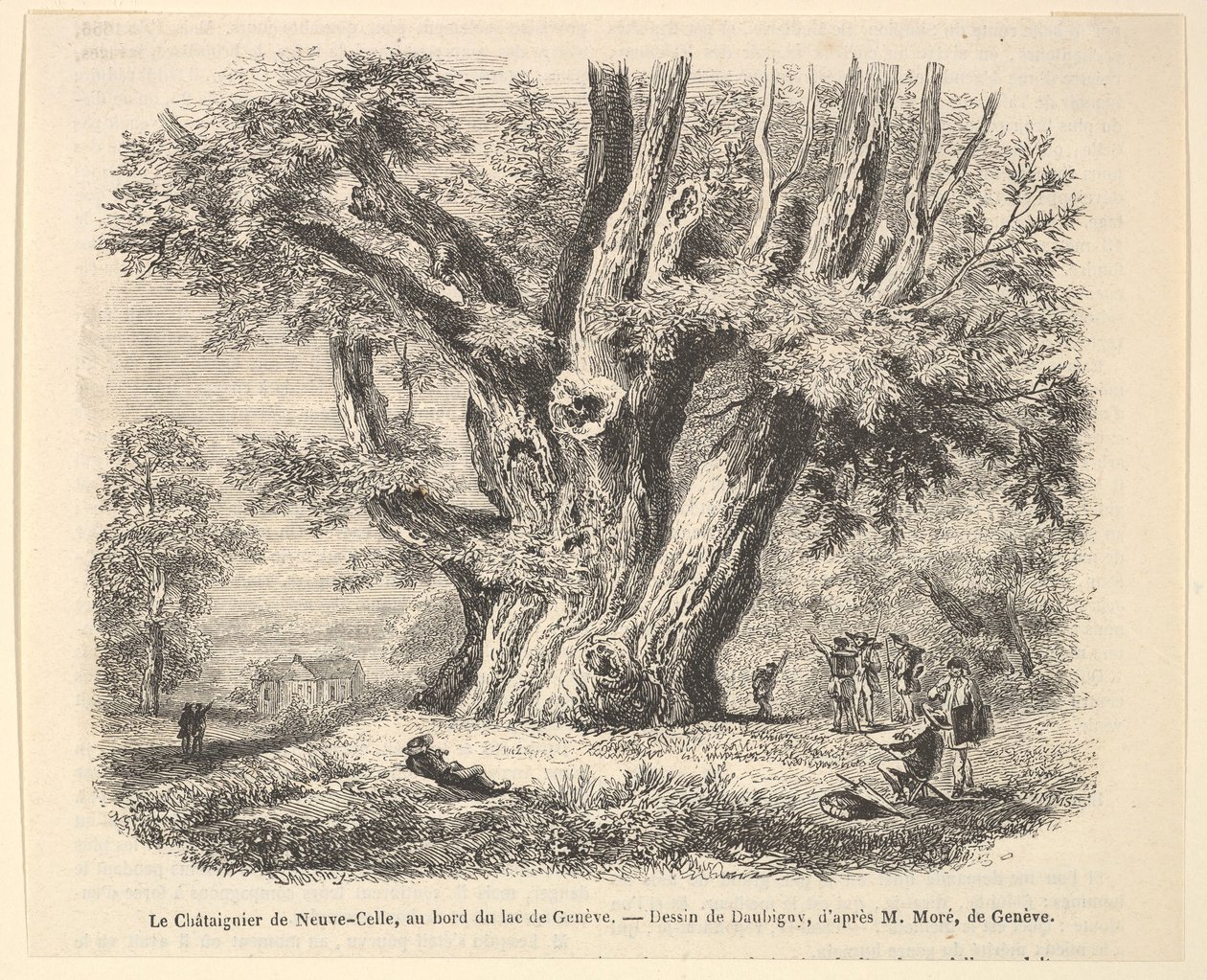Le Châtaignier de Neuve-Celle, au bord du lac de Genève, dopo Daubigny da Unbekannt