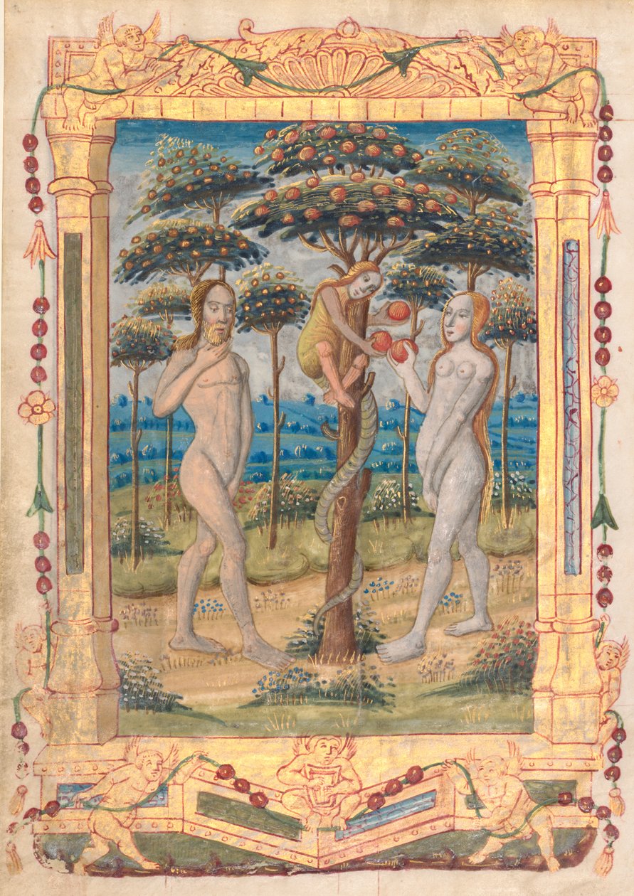 Foglio da un Libro d