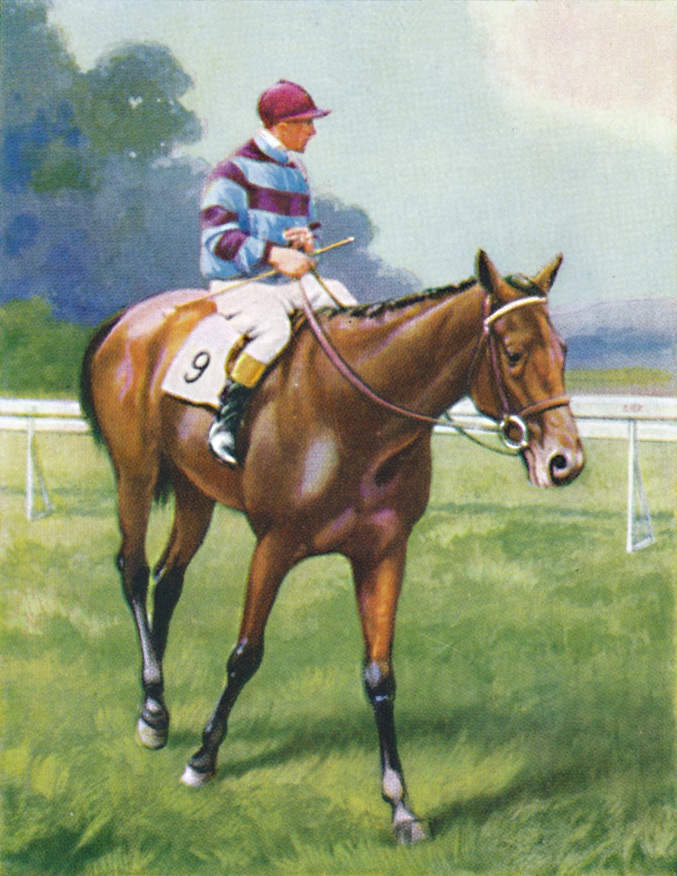 Leggenda di Francia, fantino: A. Richardson, 1939 da Unbekannt