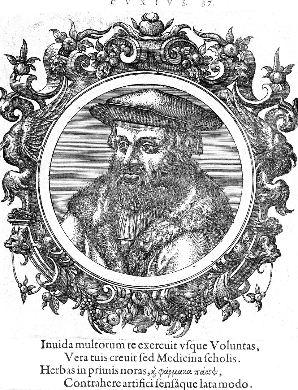 Leonhard Fuchs, botanico e medico tedesco da Unbekannt