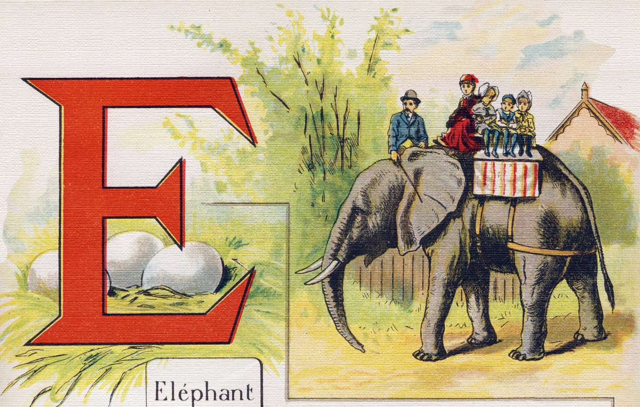 Lettera E: Elefante. Incisione in ABC L