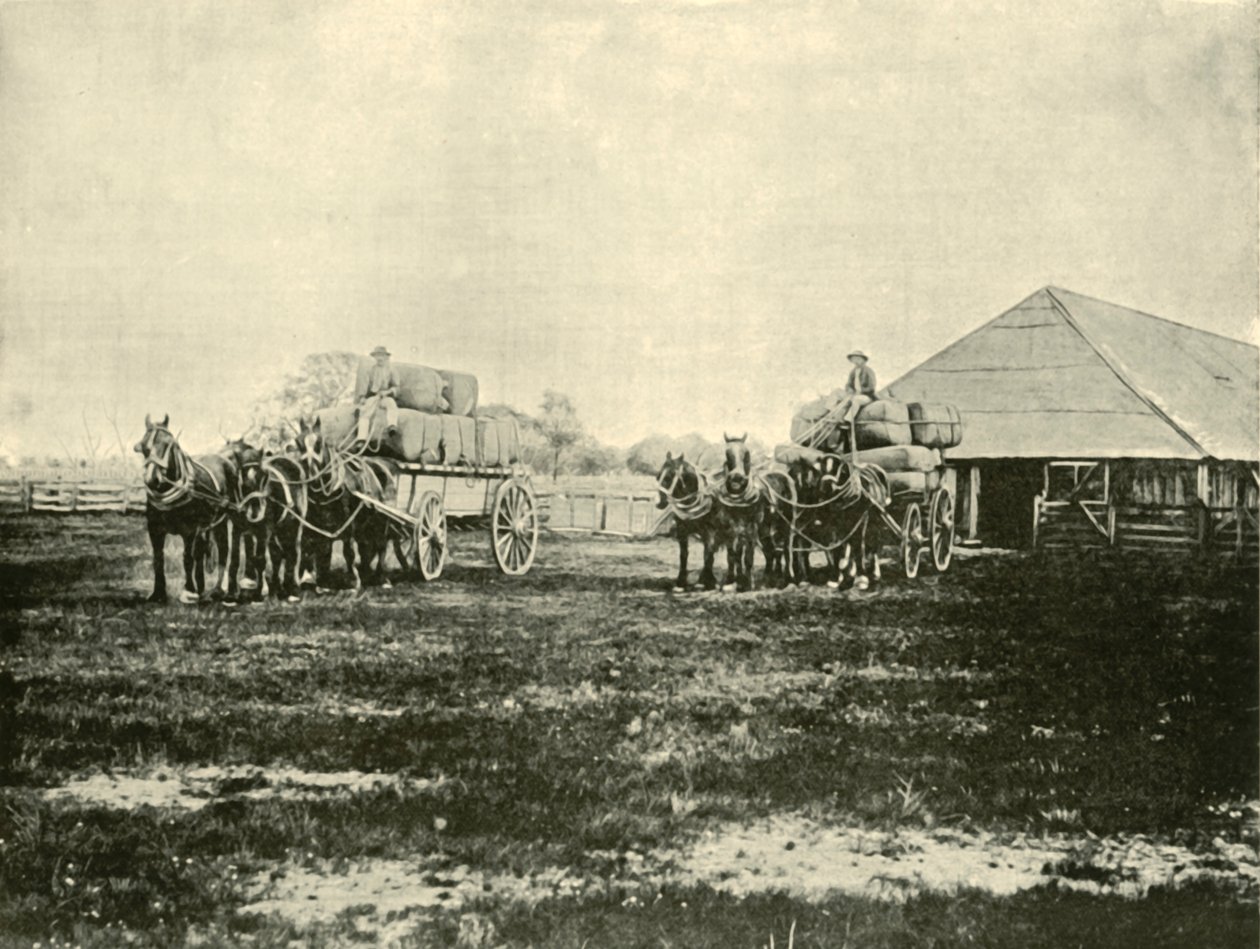 Caricamento della lana, Stazione Warrawooh, Wimmera da Unbekannt