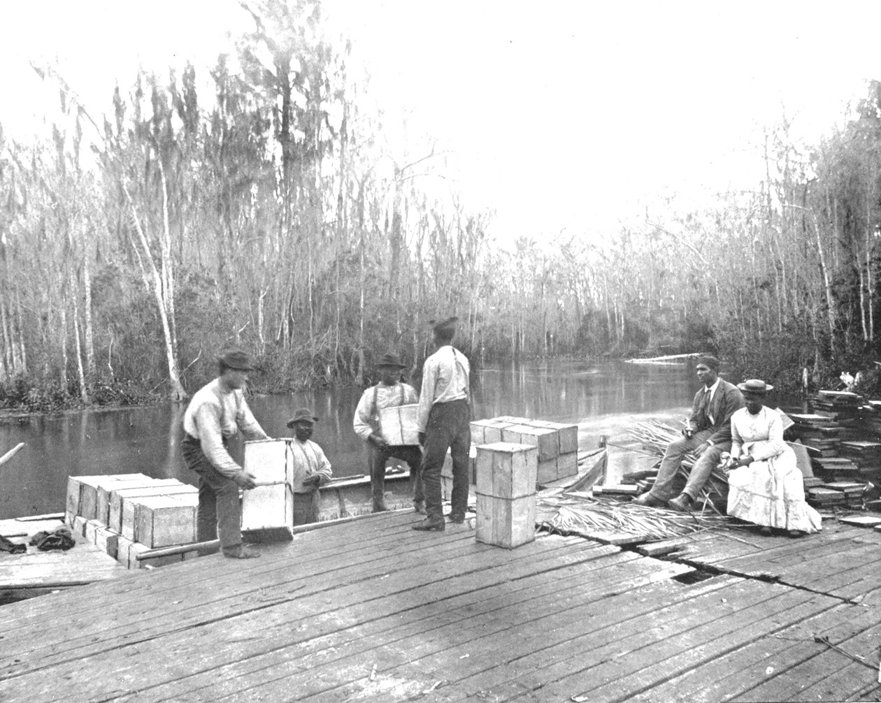 Caricamento di arance sul fiume Ocklawaha, Florida, USA, c1900 da Unbekannt