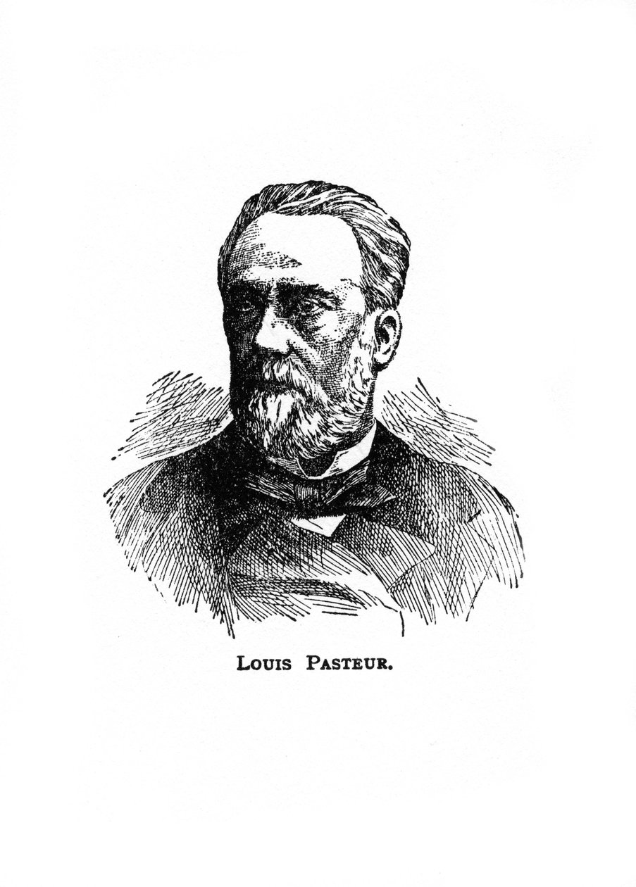 Louis Pasteur, microbiologo e chimico francese del XIX secolo, XX secolo da Unbekannt