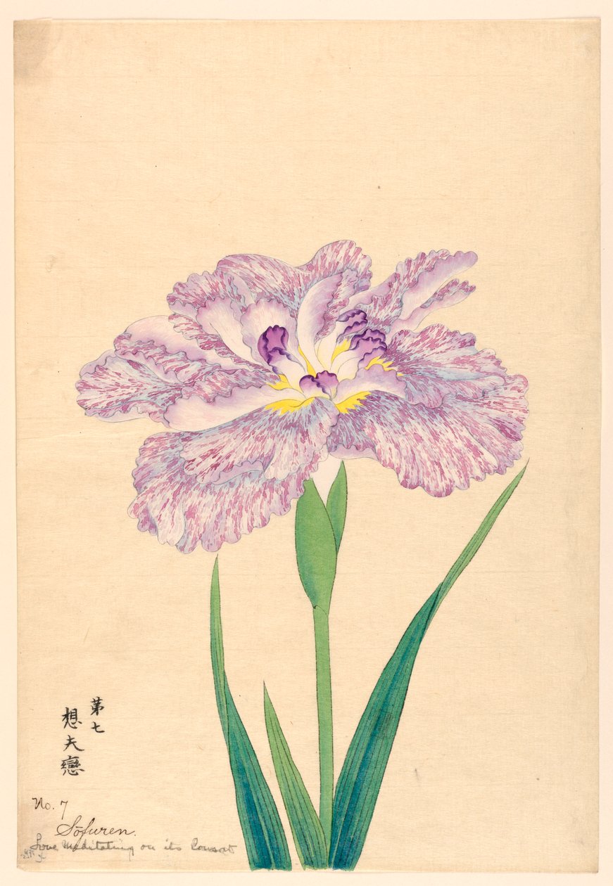 Amore che medita sul suo consorte (Sofuren), n. 7, ca. 1910 da Unbekannt