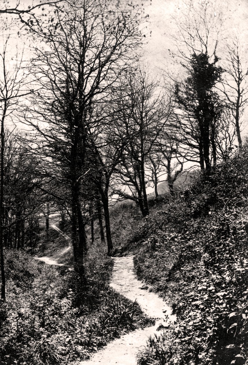 Viale degli Amanti, Fairlight, Hastings, Sussex da Unbekannt