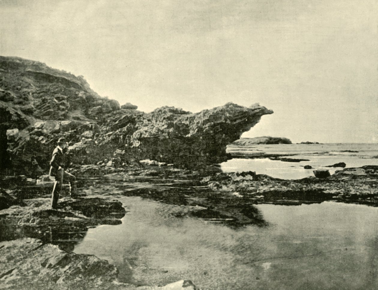 Bassa marea, Shelly Beach, Warrnambool, 1901 da Unbekannt