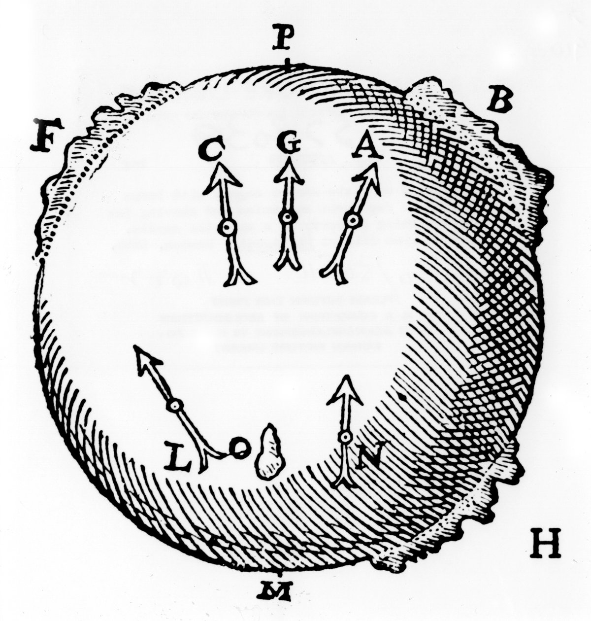 Magnetismo, 1600 da Unbekannt