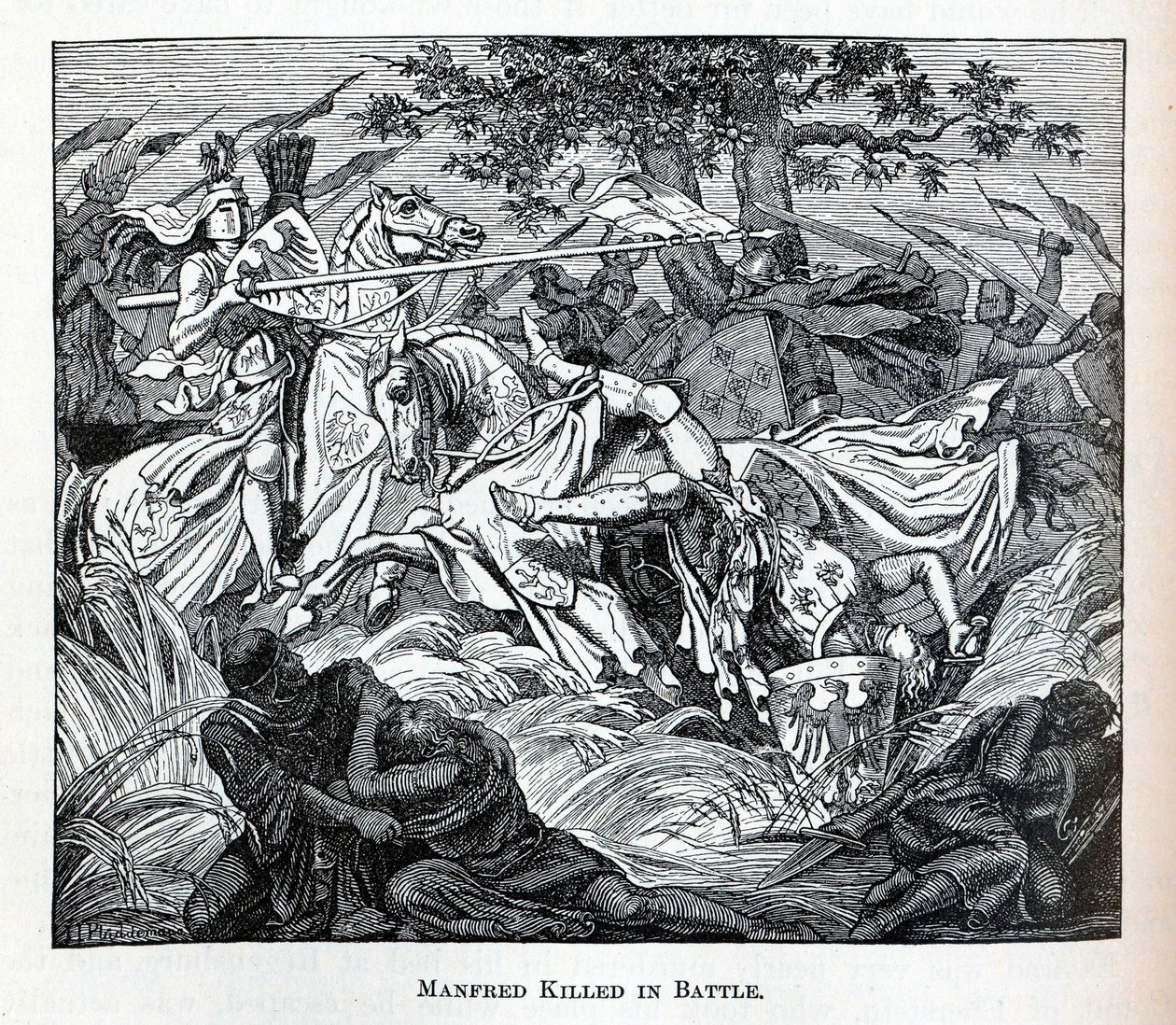 Manfredo Ucciso in Battaglia, 1882 da Unbekannt