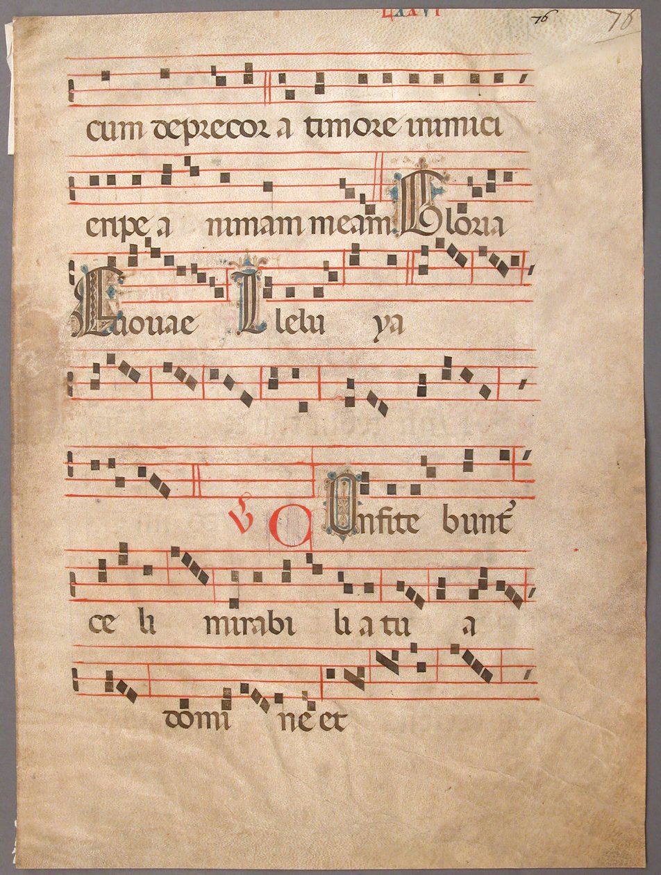 Foglio di manoscritto, da un graduale, prima metà del XIV secolo da Unbekannt