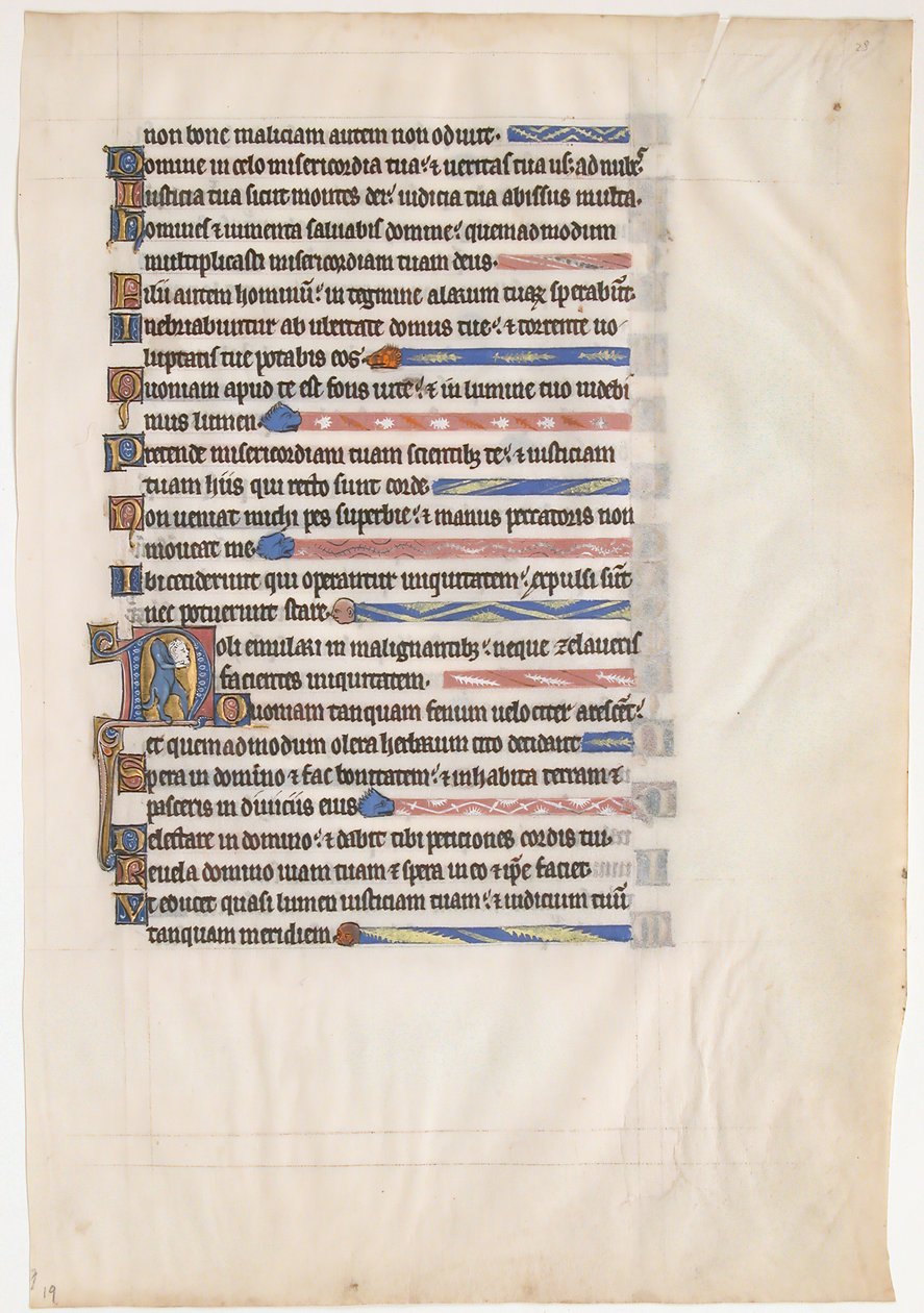 Foglio di manoscritto da un Salterio reale, britannico, XIII secolo da Unbekannt
