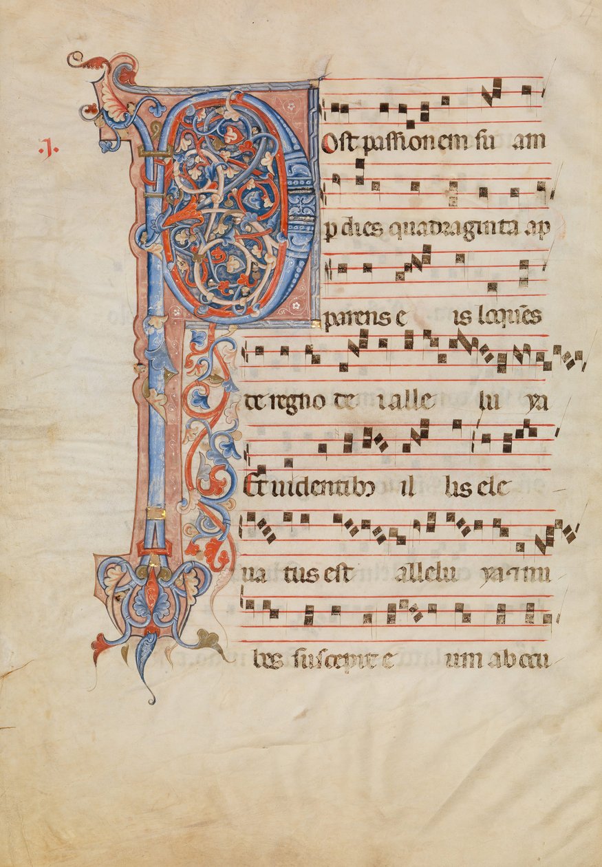 Foglio di Manoscritto con Iniziale Fogliata P, da un Antifonario, Italiano, ca. 1250-60 da Unbekannt