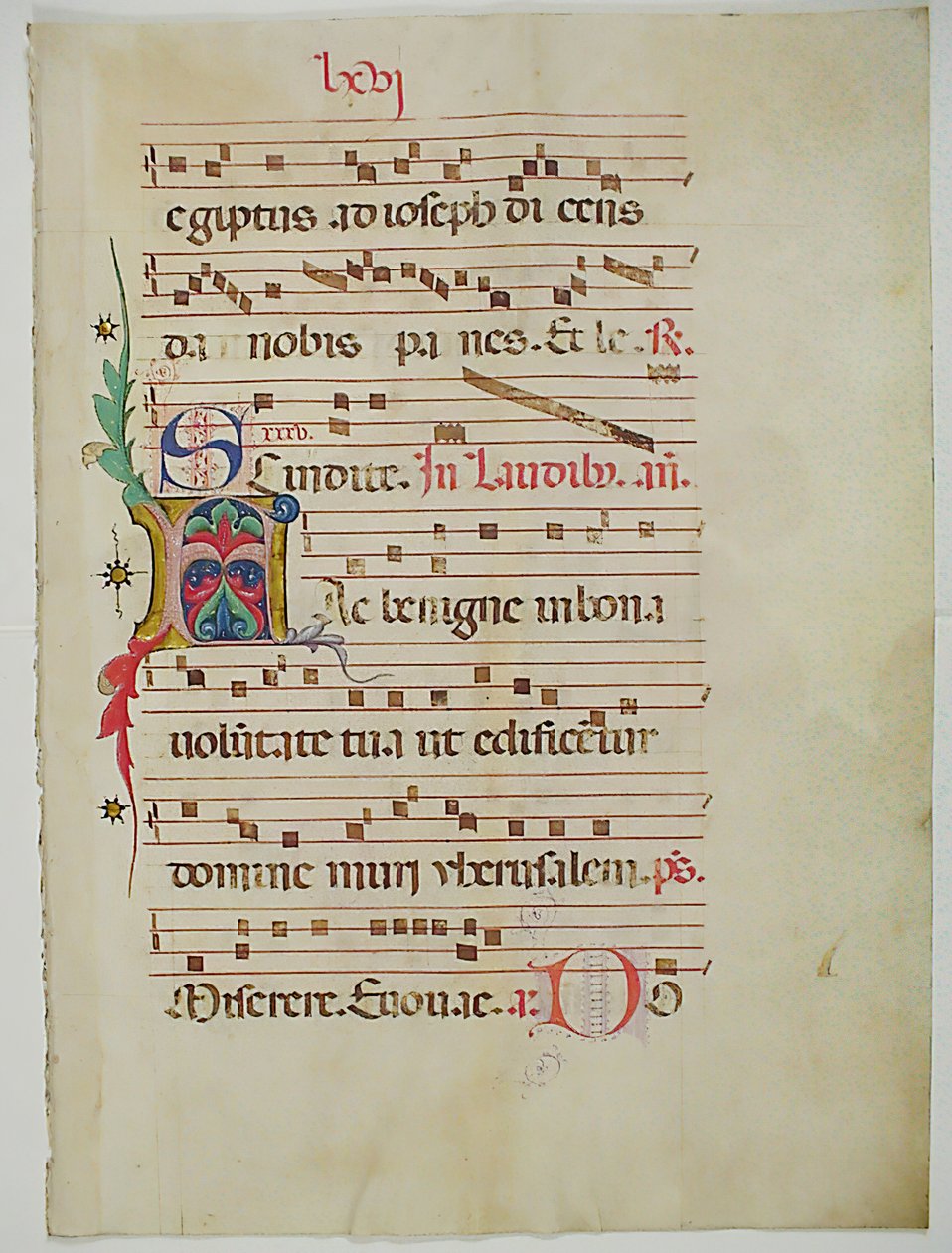 Foglio di manoscritto con iniziale A, da un antifonario, italiano, XV secolo da Unbekannt