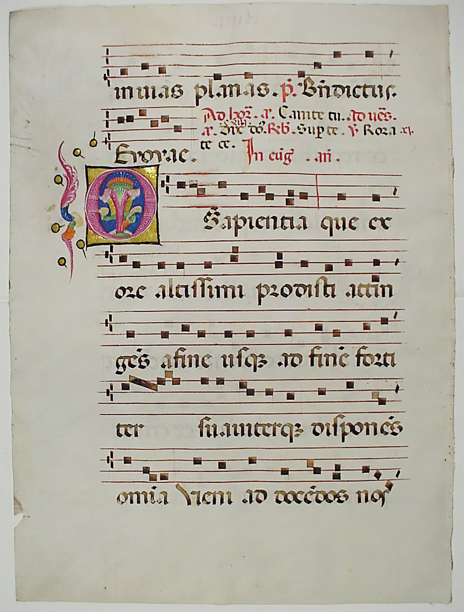 Foglio di manoscritto con iniziale O, da un antifonario, italiano, XV secolo da Unbekannt