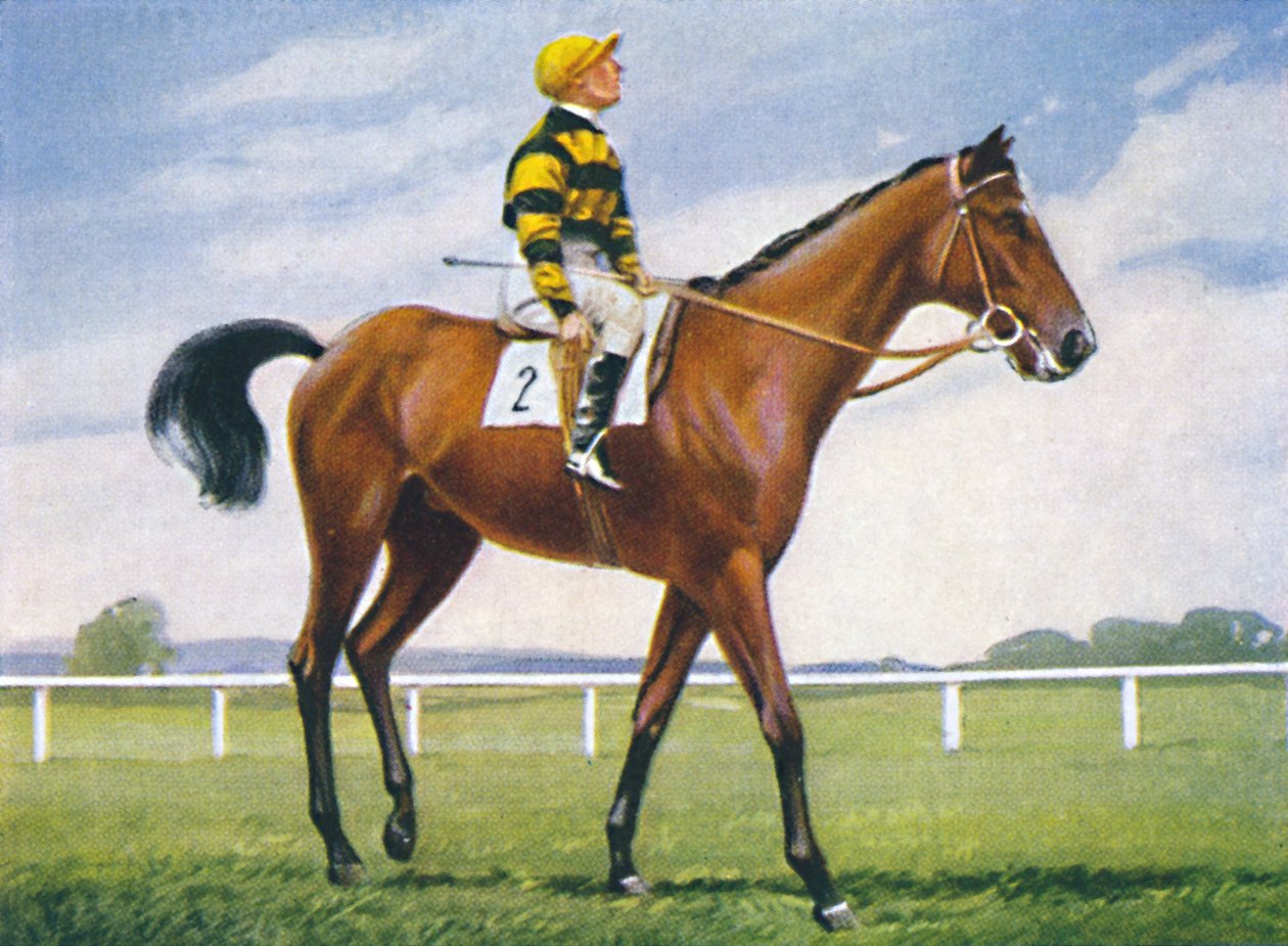 Meadow, fantino: T. Weston, 1939 da Unbekannt