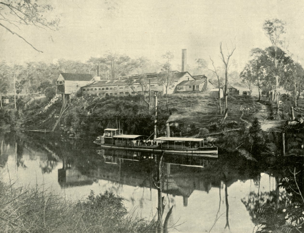 Macelli, vicino a Grafton, Nuovo Galles del Sud, 1901 da Unbekannt