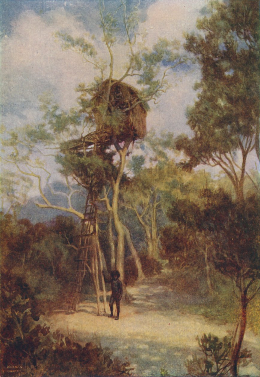 Casa sull