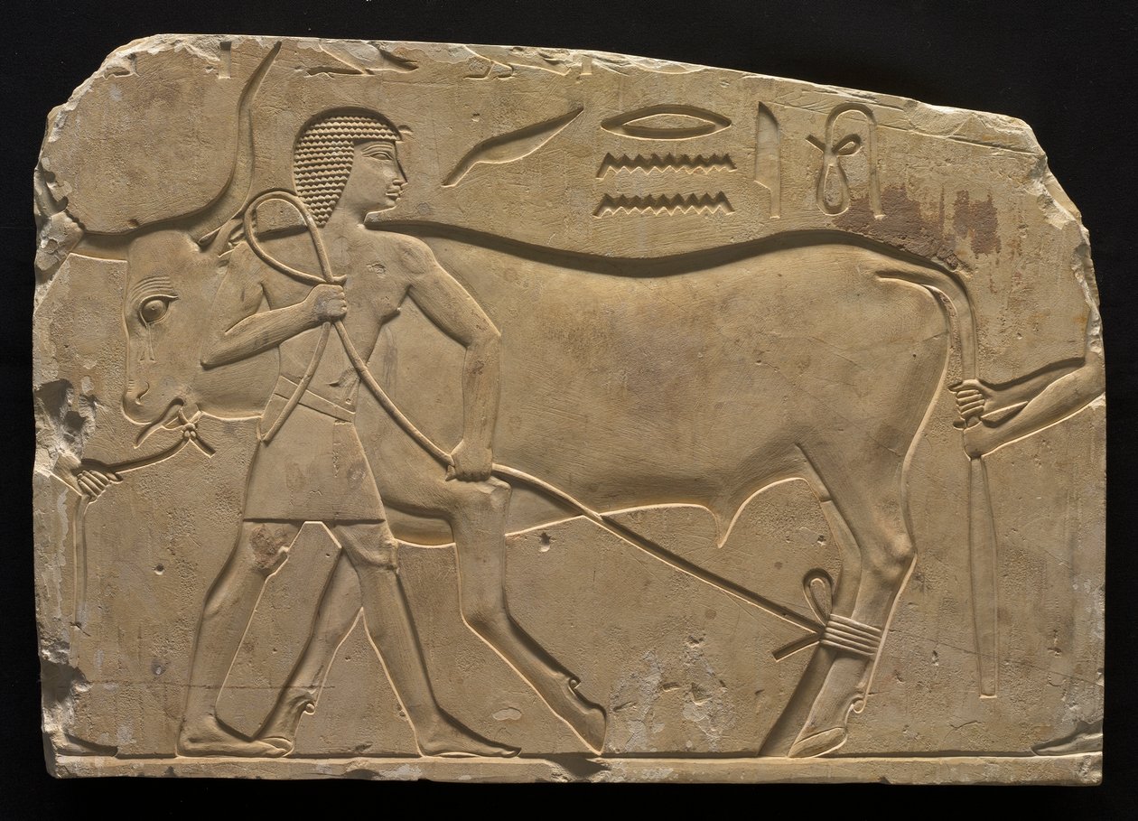 Uomini che legano un bue, 667-647 a.C. da Unbekannt