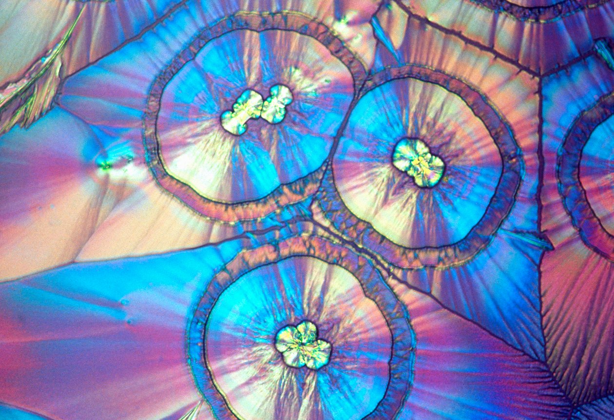 Acido ascorbico, micrografia a luce da Unbekannt