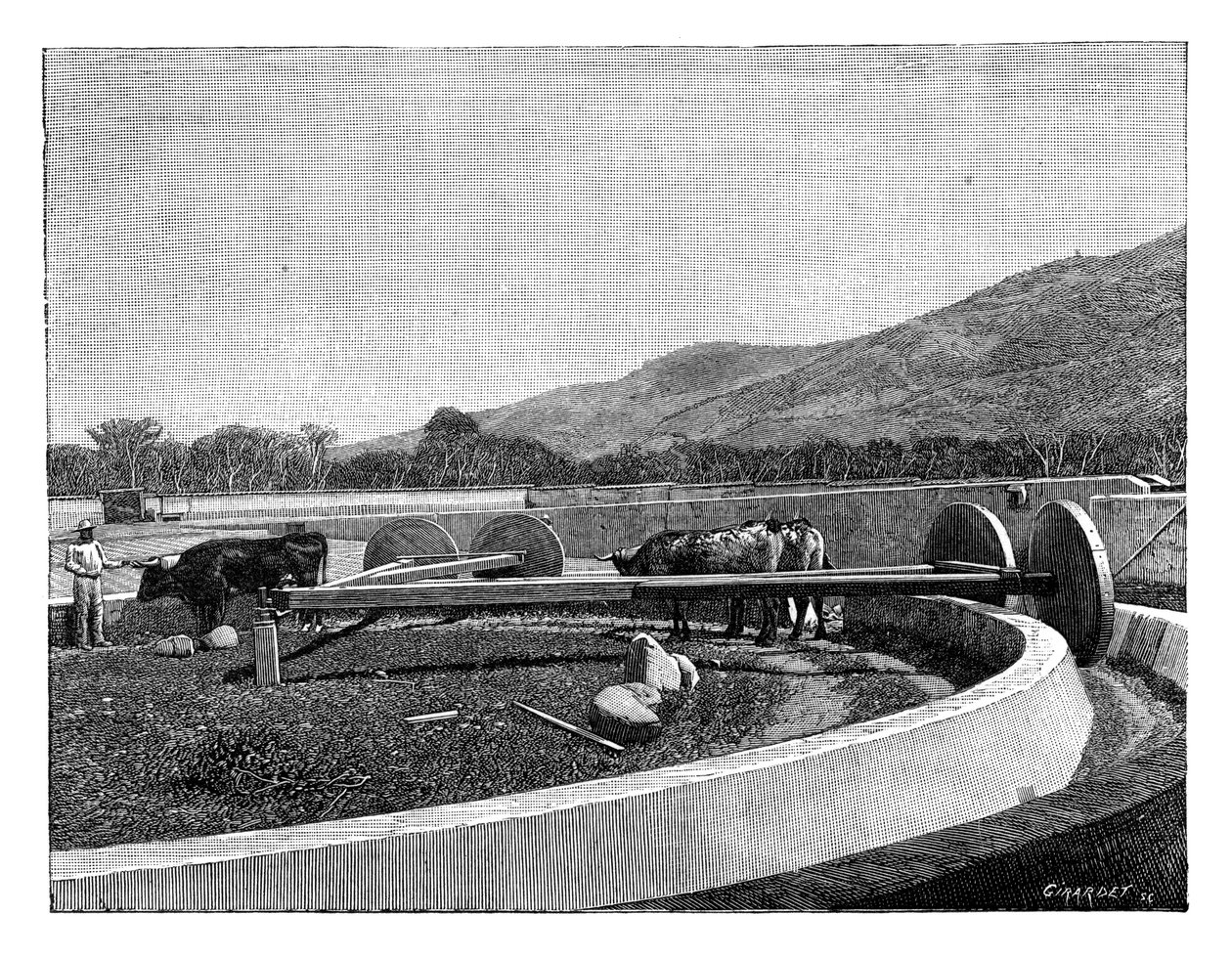 Mulino per decorticare il caffè, America Centrale, c1890 da Unbekannt