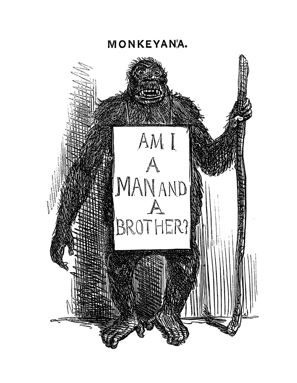 Monkeyana: Sono un uomo e un fratello, 1861 da Unbekannt