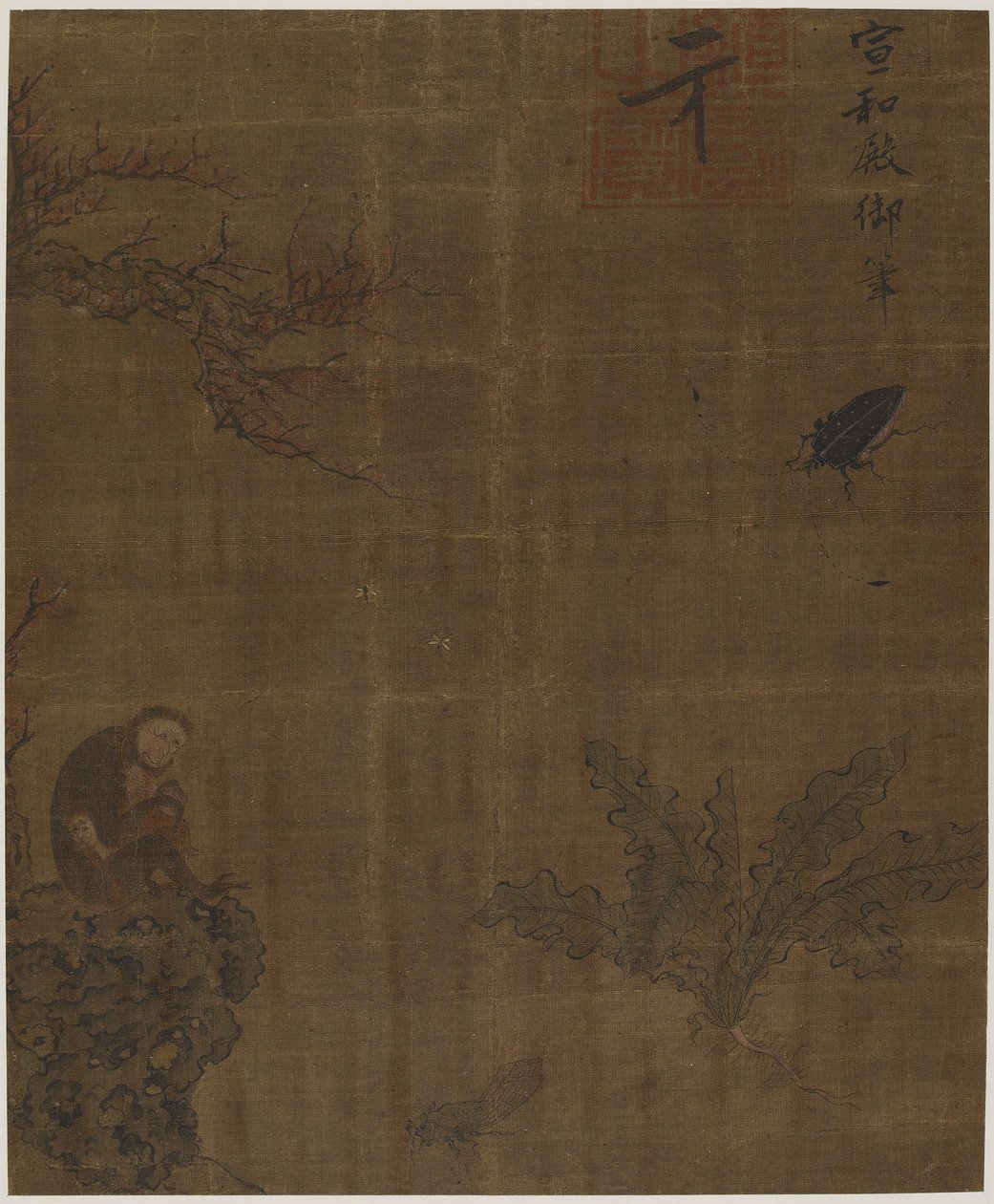 Scimmie, insetti e cavolo, Possibilmente dinastia Ming, 1368-1644 da Unbekannt