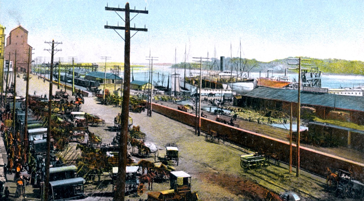 Porto di Montreal, Montreal, Canada, c1900 da Unbekannt