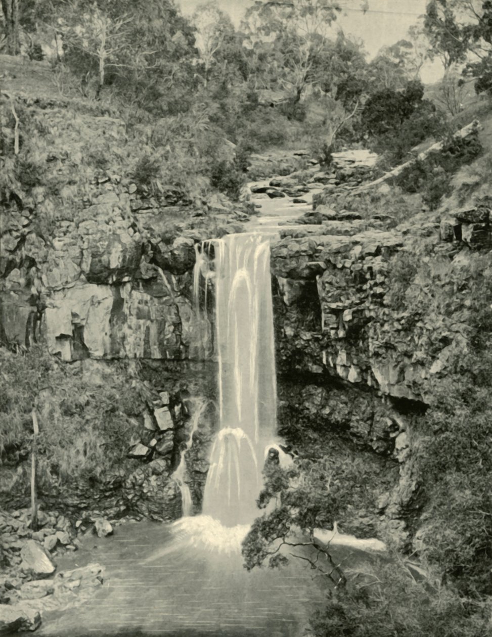 Cascate di Moorabool, Victoria, 1901 da Unbekannt