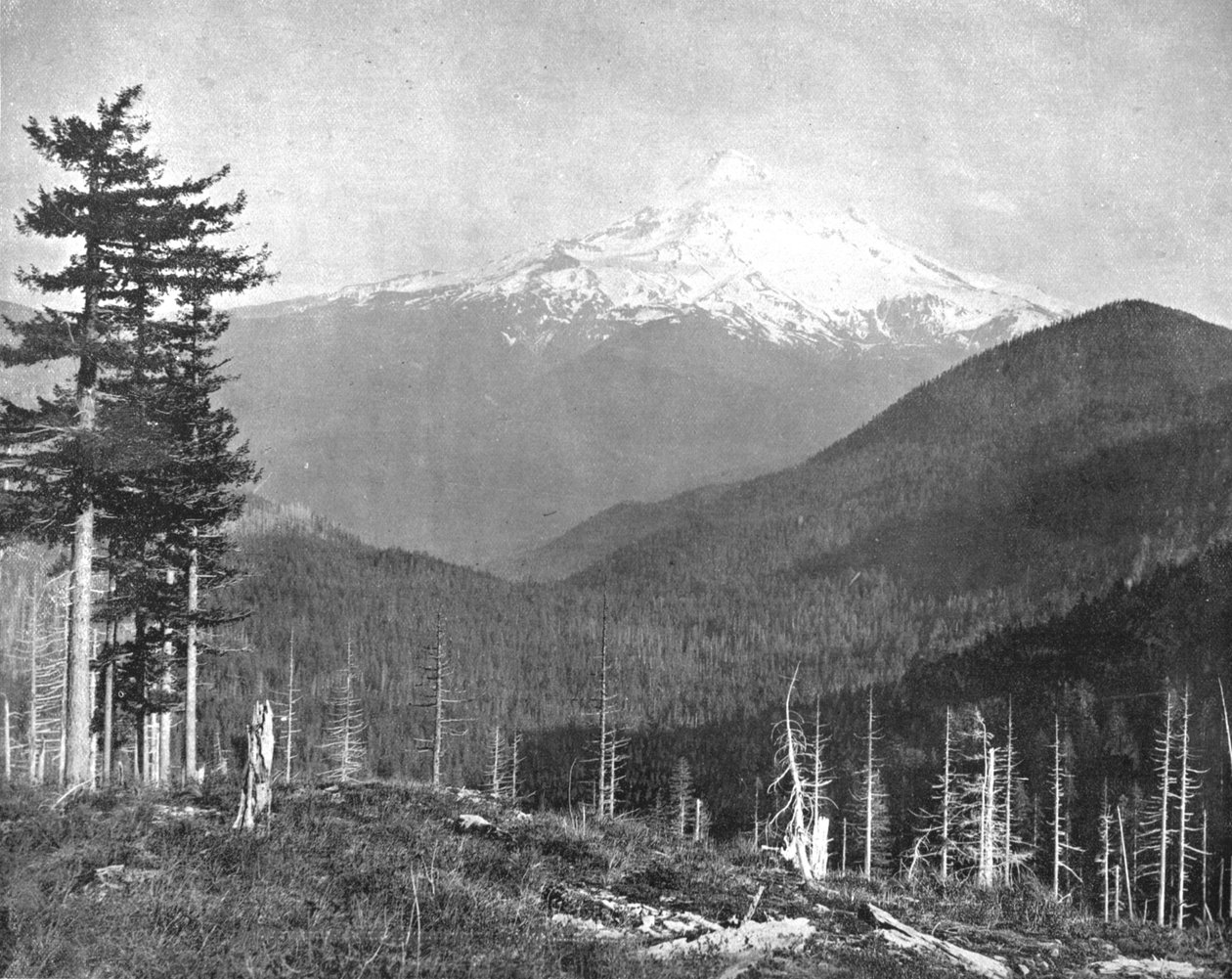 Monte Hood, Oregon, USA, c1900 da Unbekannt