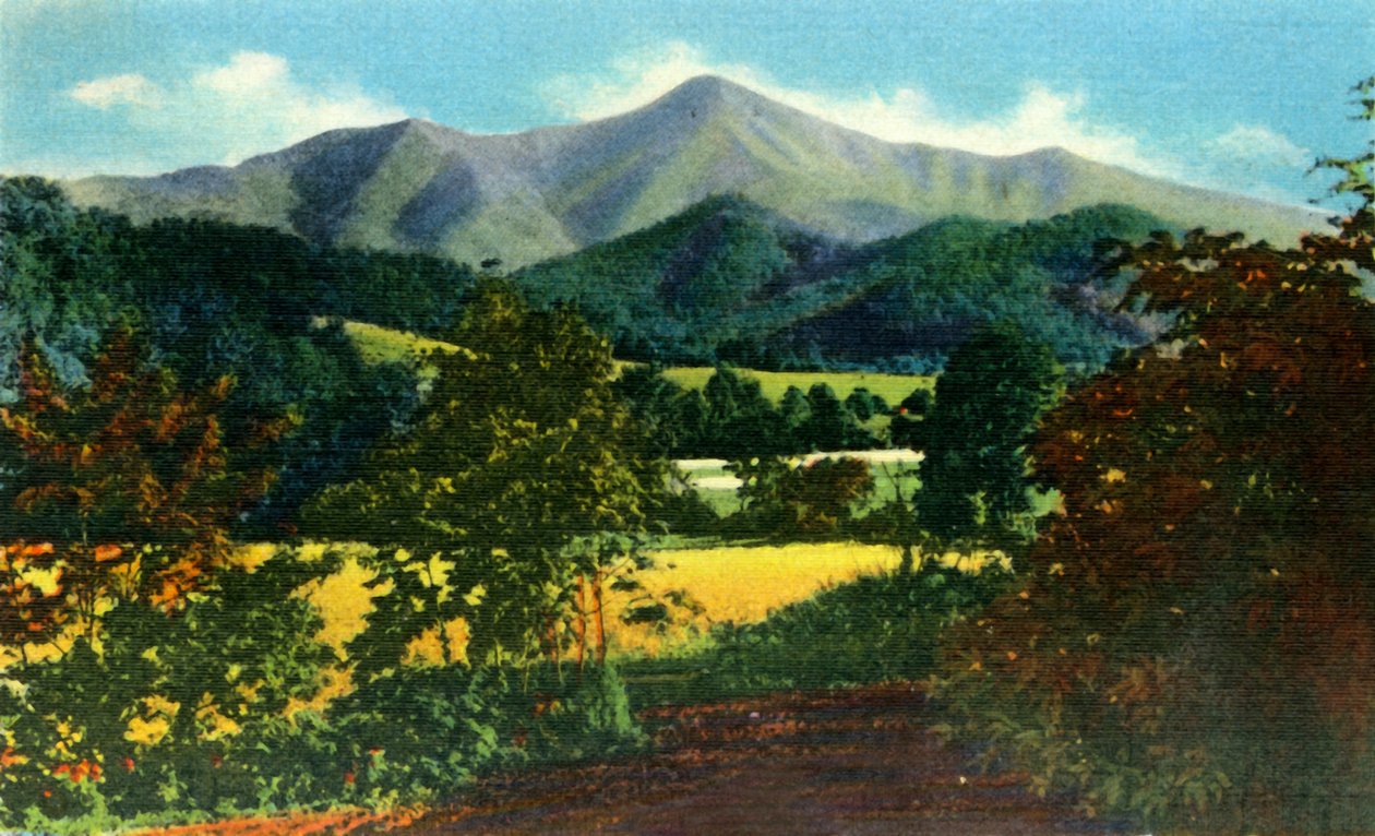 Mr. Pisgah e il topo in lontananza, Carolina del Nord occidentale, 1942 da Unbekannt