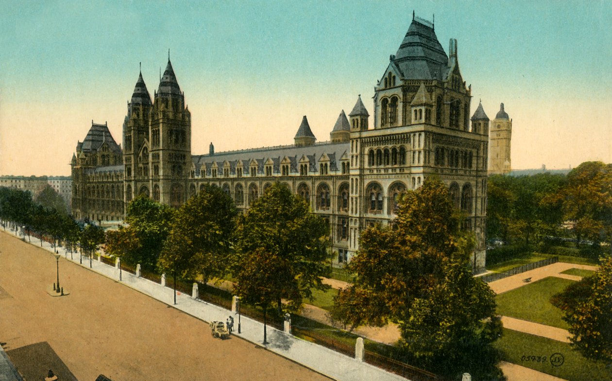 Museo di Storia Naturale, Londra, c. 1910 da Unbekannt