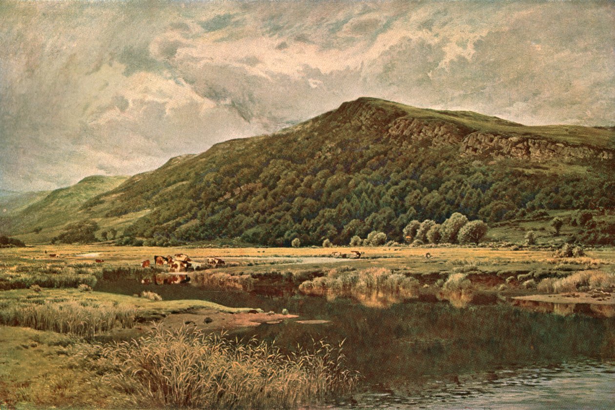 Lo specchio della natura, 1882, c. 1902 da Unbekannt