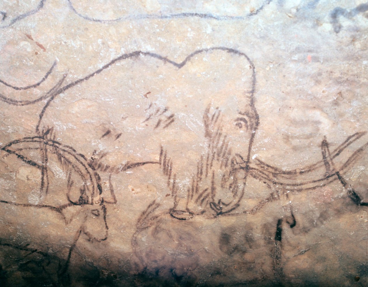 Pittura rupestre neolitica di mammut e stambecchi da Unbekannt