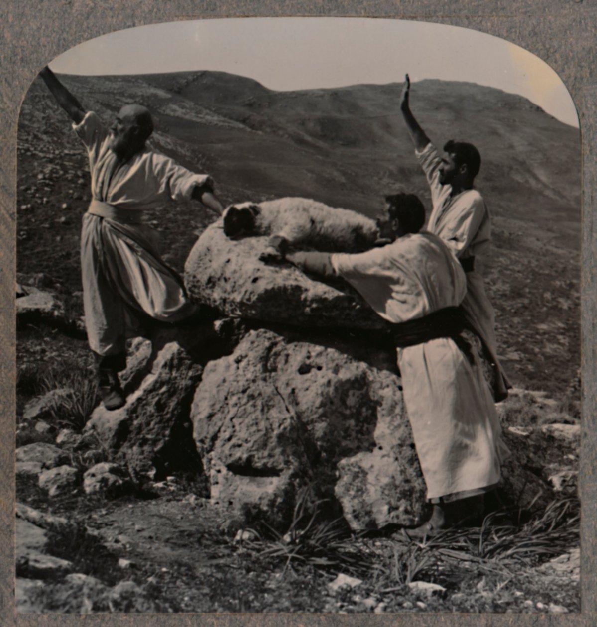 Offerta di sacrificio di agnello sull