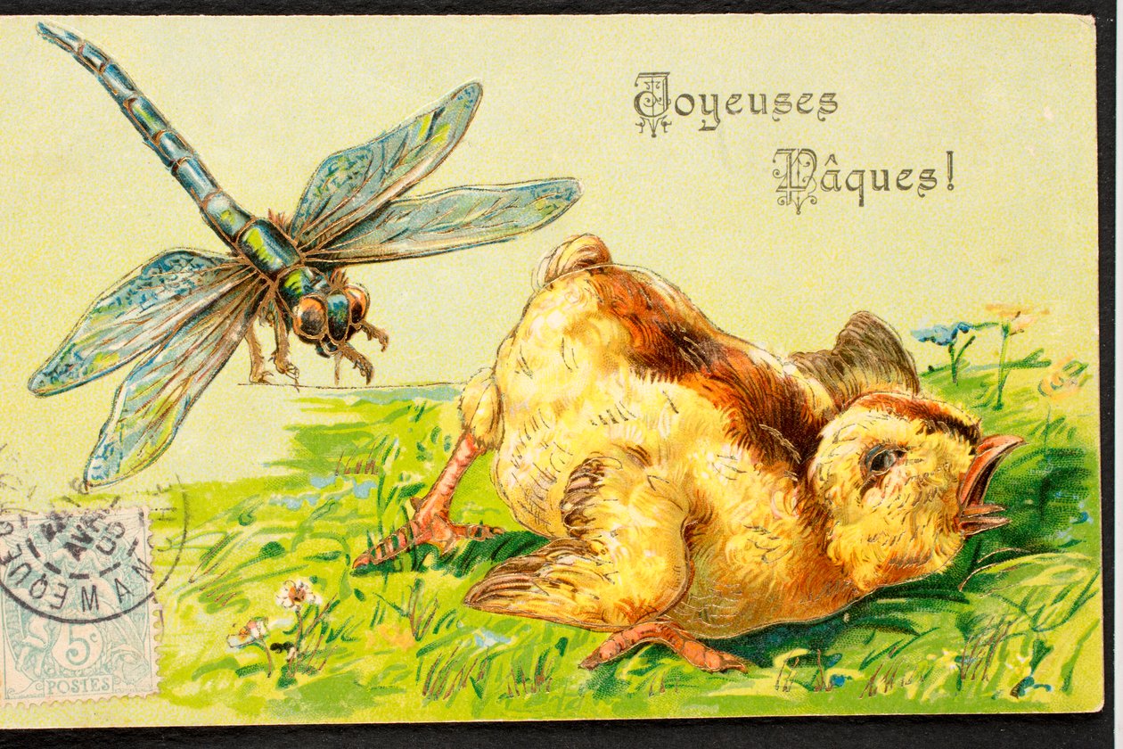 Vecchia cartolina/Buona Pasqua/Pulcino/Libellula da Unbekannt