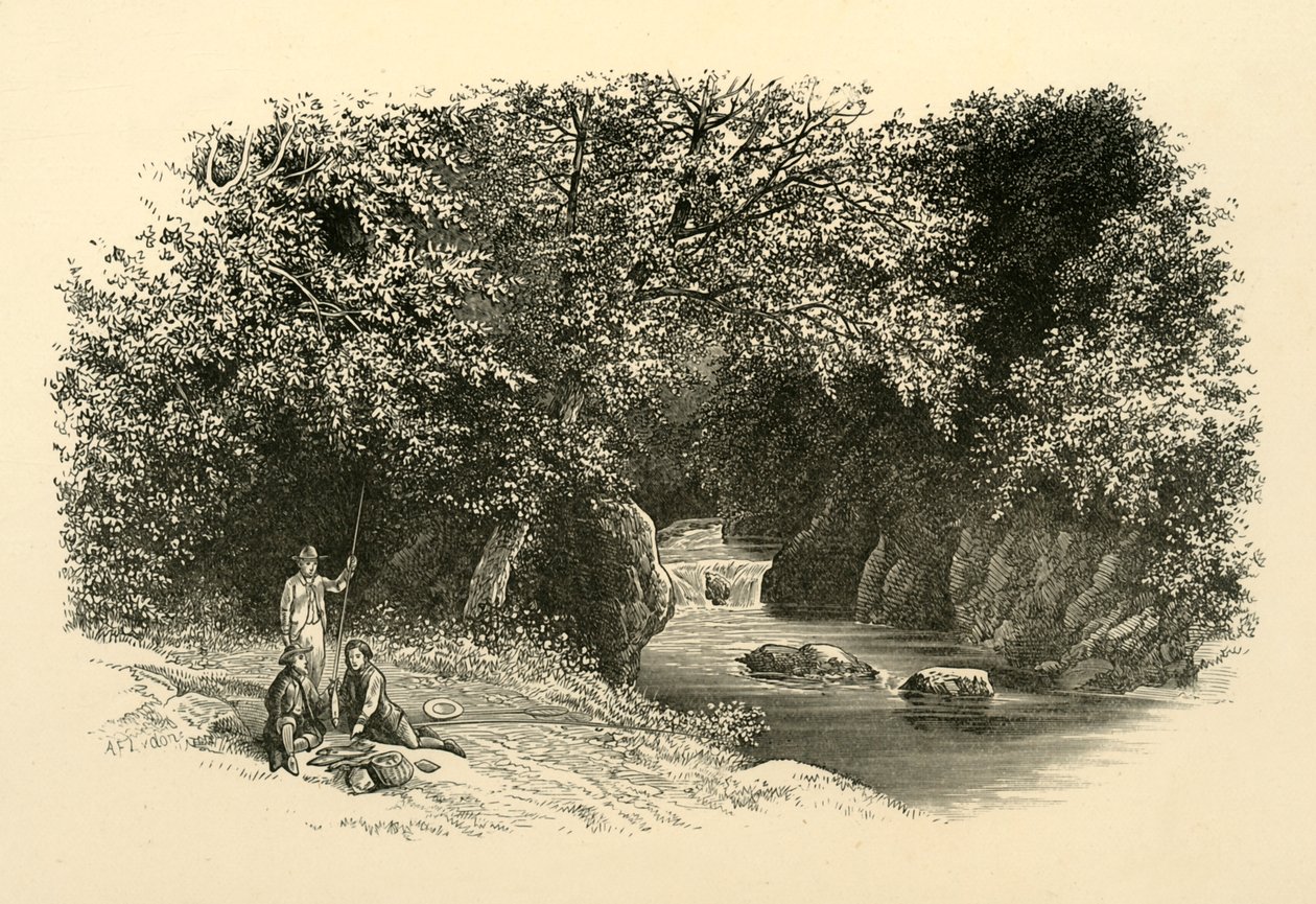 Sul Dargle, c. 1890 da Unbekannt