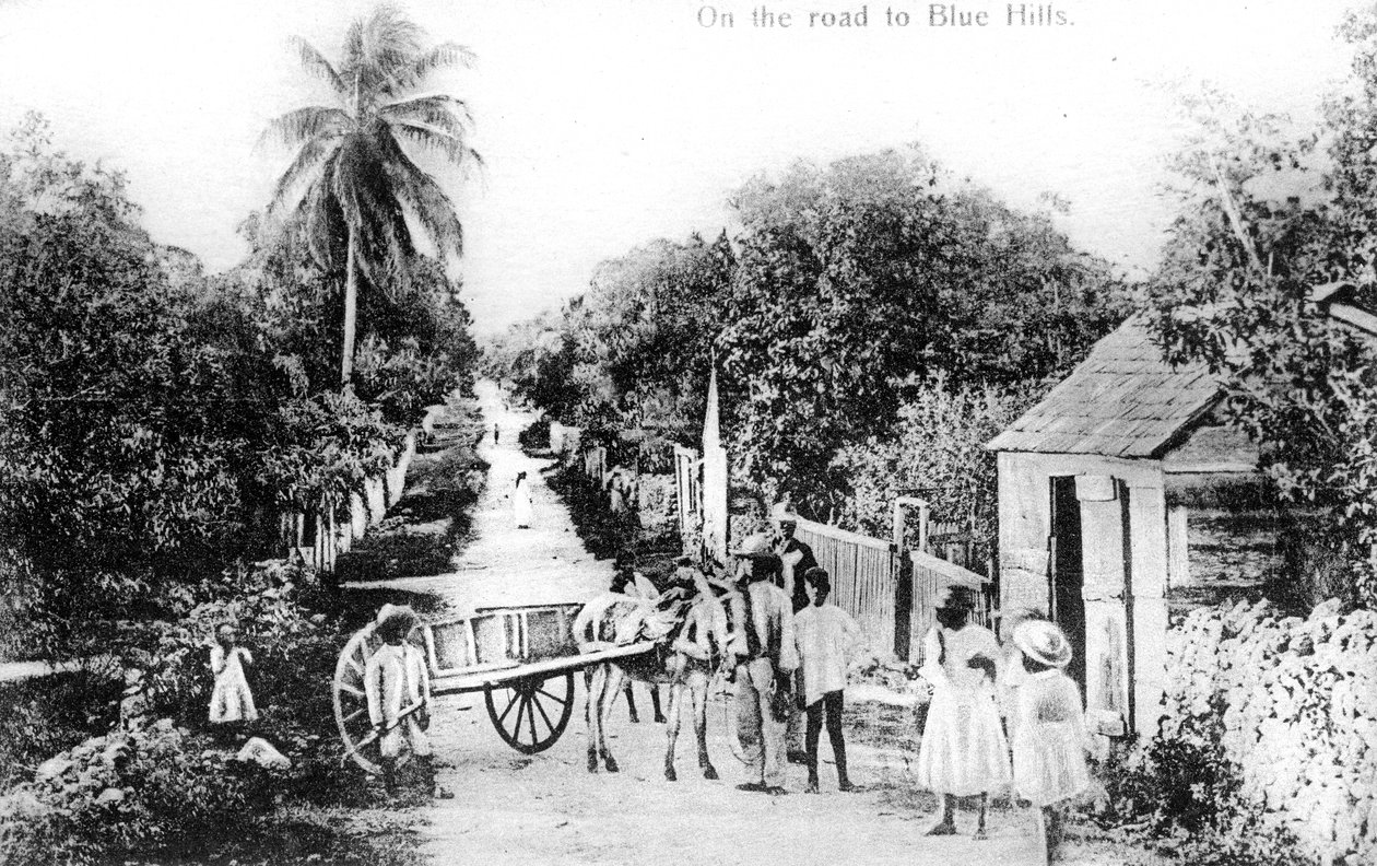 Sulla strada per Blue Hills, Bahamas da Unbekannt