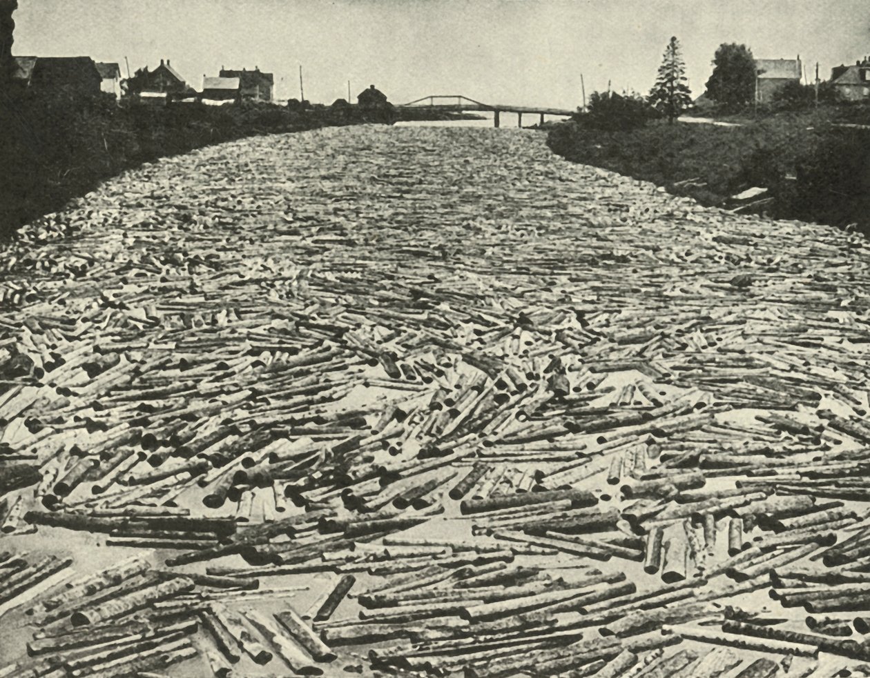 Sulla strada per le segherie, c1948 da Unbekannt