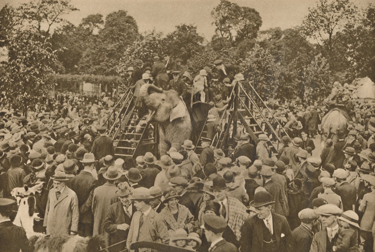 Uno dei segni della nostra civiltà: giardini zoologici ben forniti per deliziare i curiosi, c193 da Unbekannt