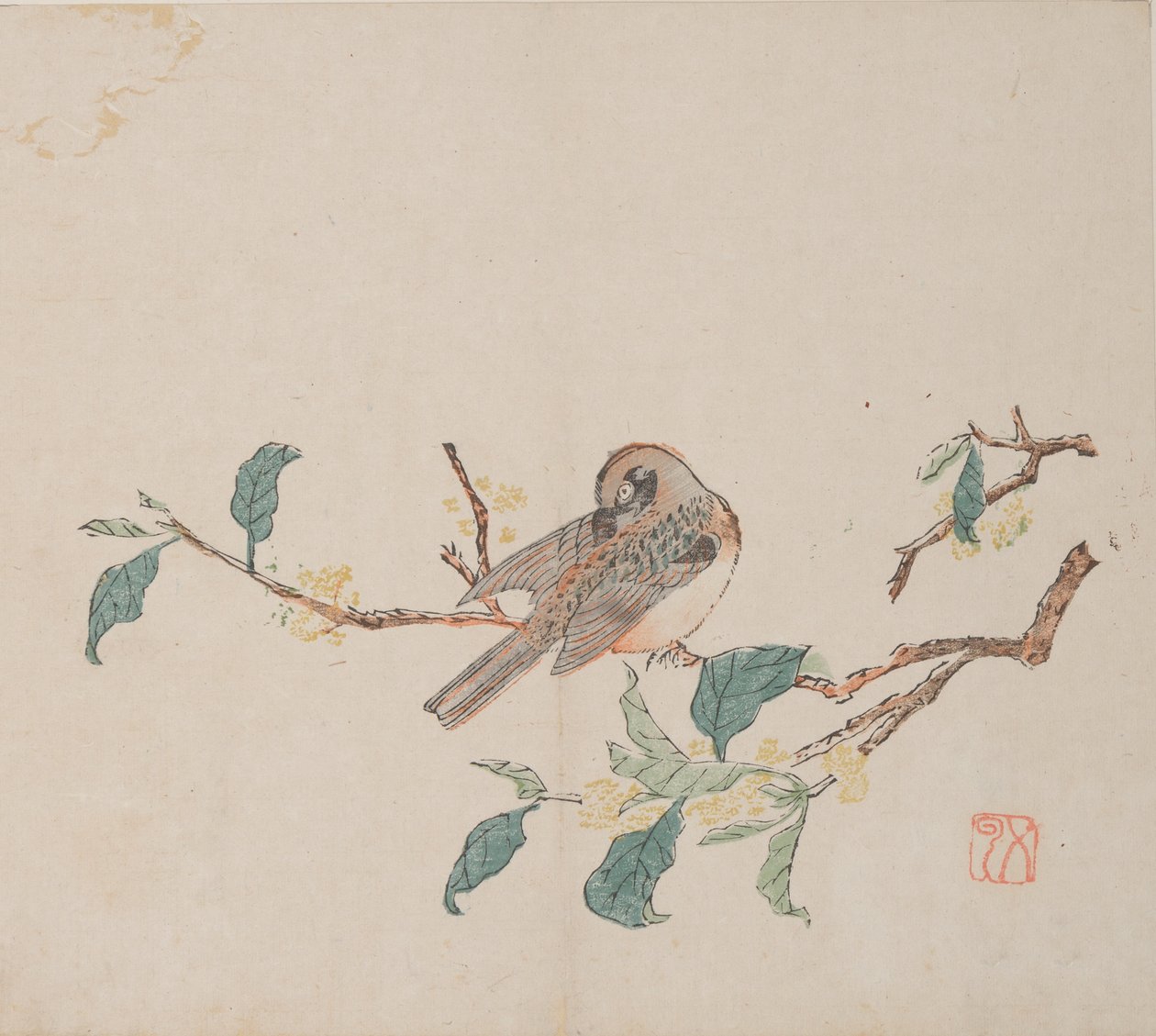 Pagina da Shi Zhu Zhai da Unbekannt