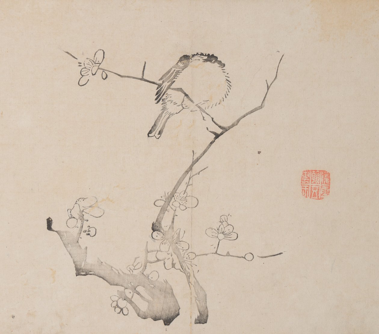 Pagina da Shi Zhu Zhai Shu hua pu da Unbekannt