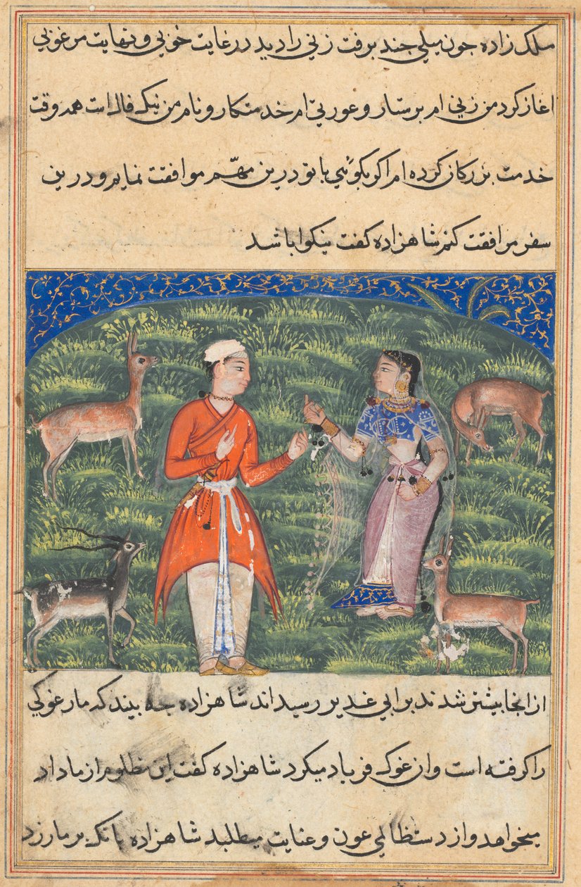 Pagina da Tales of a Parrot Tuti-nama: Diciottesima Notte: Nikfal, la fortuna..., c. 1560 da Unbekannt