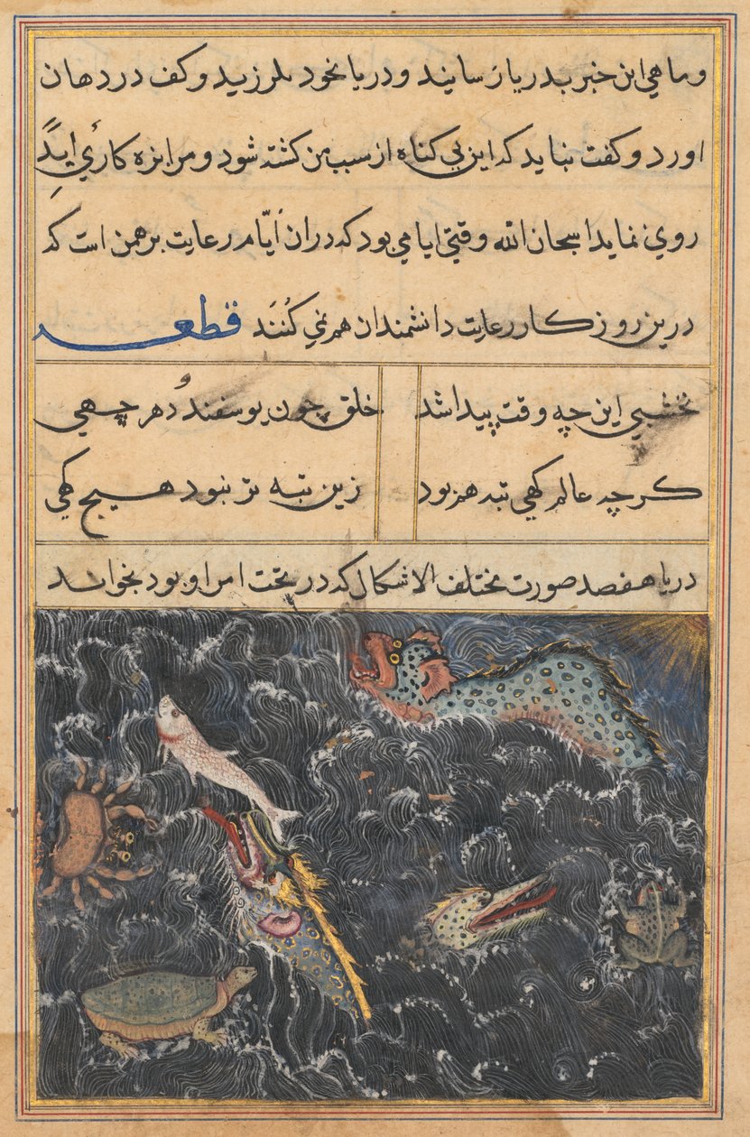 Pagina da Racconti di un pappagallo Tuti-nama: Undicesima notte: Le creature del mare da Unbekannt