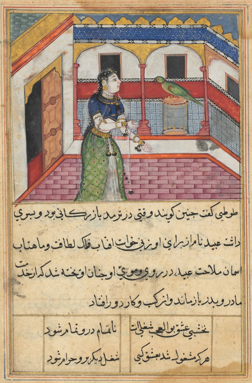 Pagina da Tales of a Parrot Tuti-nama: Quarantaduesima notte: Il pappagallo si rivolge... da Unbekannt