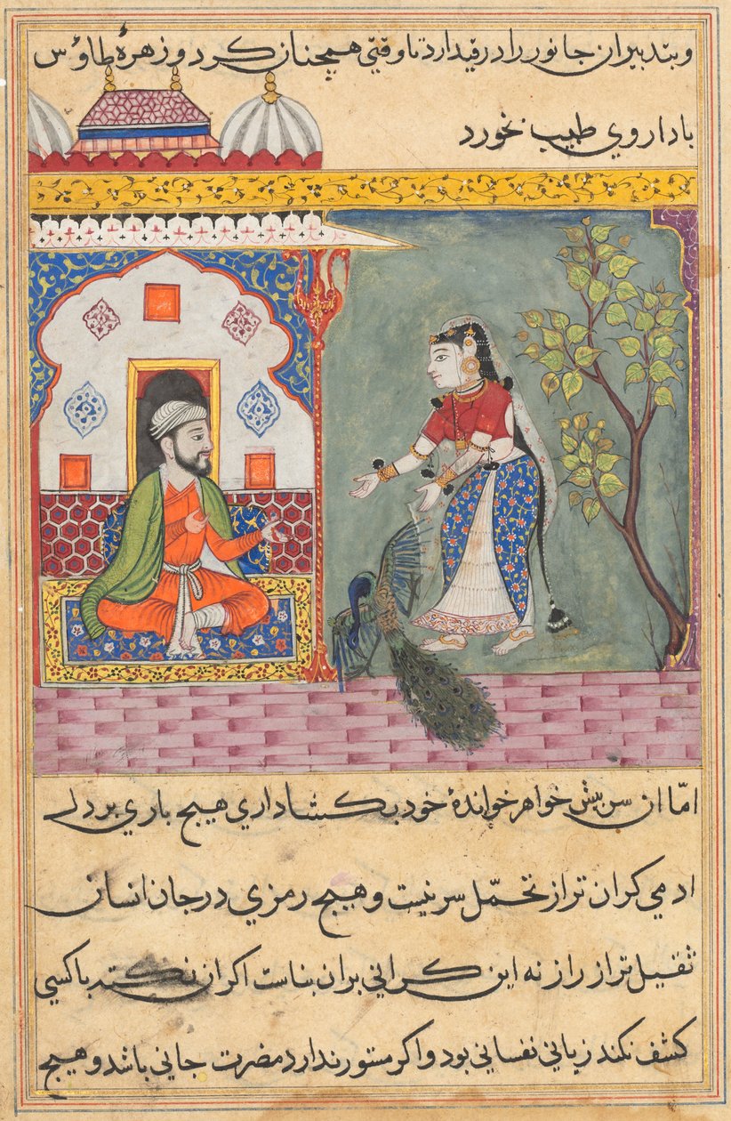 Pagina da Racconti di un pappagallo Tuti-nama: Diciannovesima notte: La moglie del Brahmano..., c. 1560 da Unbekannt