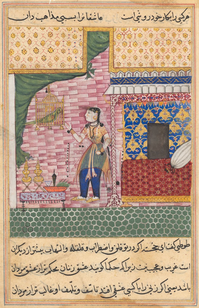 Pagina da Tales of a Parrot Tuti-nama: Diciassettesima notte: Il pappagallo..., c. 1560 da Unbekannt