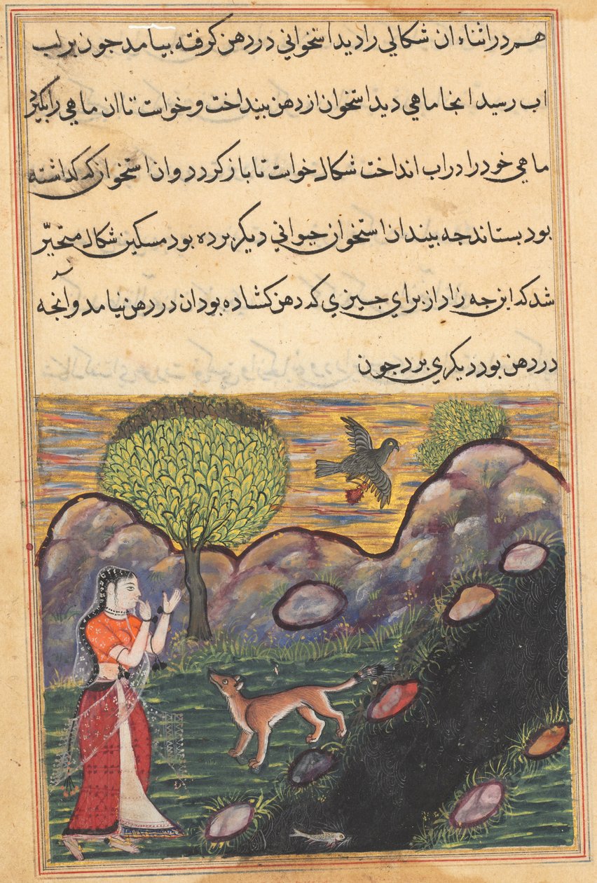 Pagina da Racconti di un pappagallo Tuti-nama: Sedicesima notte: La nuora..., c. 1560 da Unbekannt