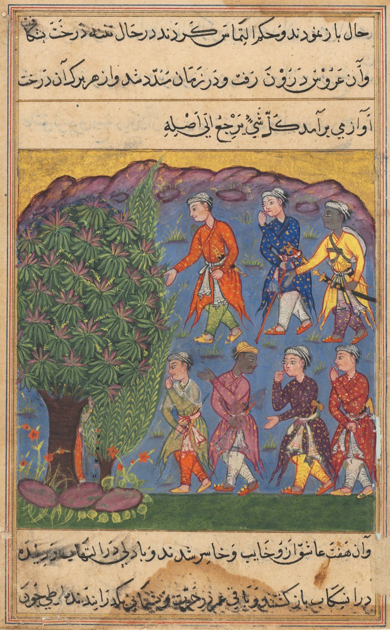 Pagina da Racconti di un pappagallo Tuti-nama: Sesta notte: Sette uomini che disputano il possesso..., c. 1560 da Unbekannt